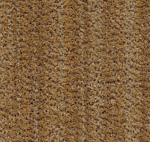 Грязезащитные покрытия Forbo Coral Brush 5754 straw brown фото 1 | FLOORDEALER